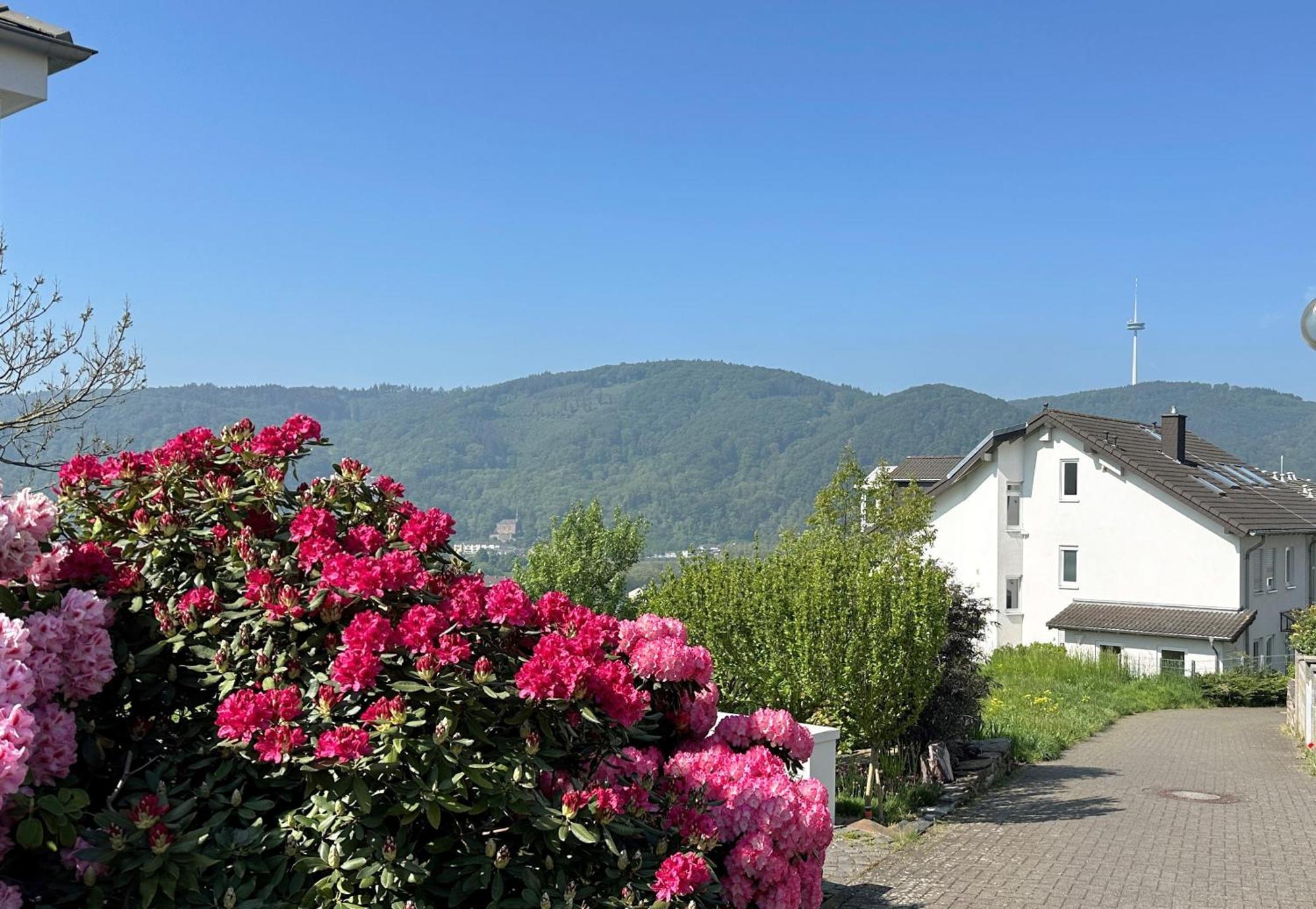 Ferienwohnung Rhein-Panorama Lahnstein Exterior foto
